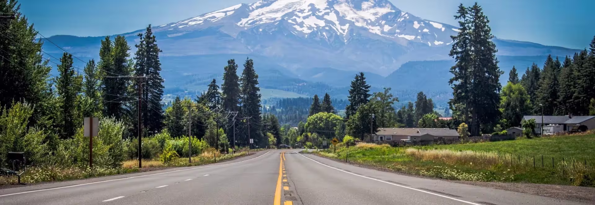 Beautiful road scenery with mountains and pine trees